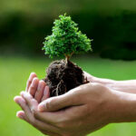 image-news6